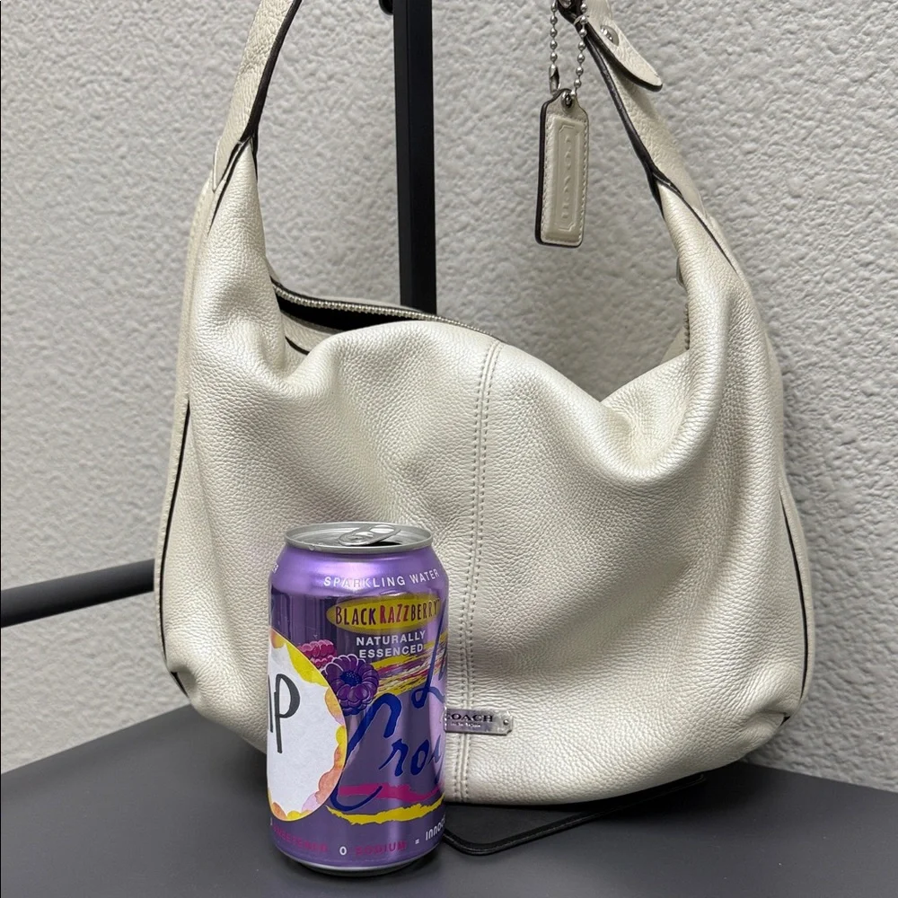 Coach Avery Pearlescent Small Hobo